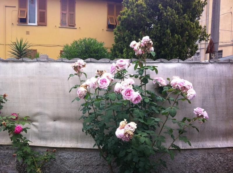 Villa Solemare House Nearby Cinqueterre La Spezia